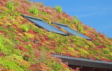 Stamford Hill living roof systems