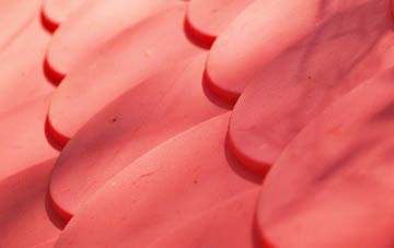 Stamford Hill plastic roof costs