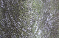 Stamford Hill fibreglass roof work